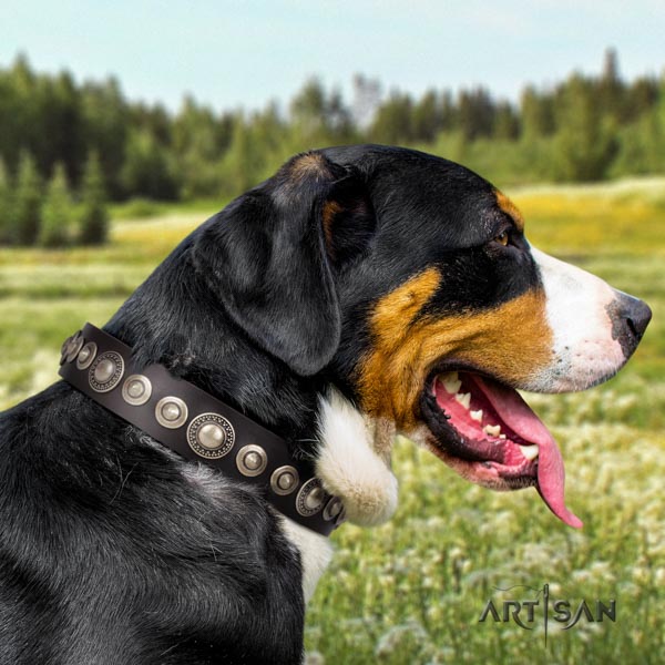 Swiss Mountain daily walking full grain natural leather collar with adornments for your canine