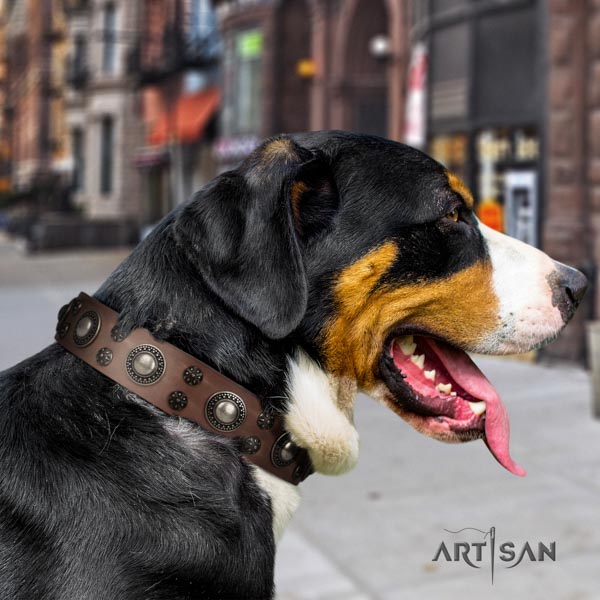 Swiss Mountain handy use genuine leather collar with embellishments for your four-legged friend