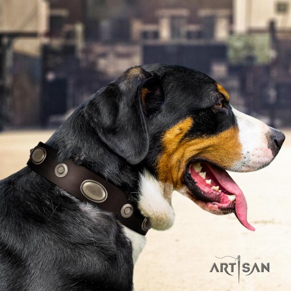 Swiss Mountain walking full grain leather collar with adornments for your dog