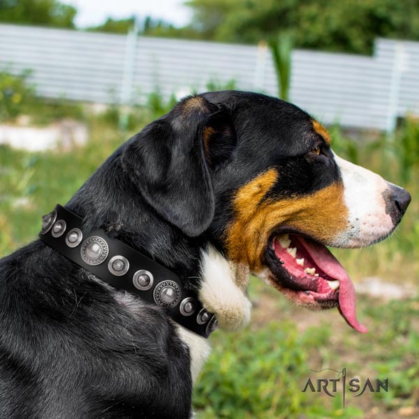 Swiss Mountain walking genuine leather collar with adornments for your pet