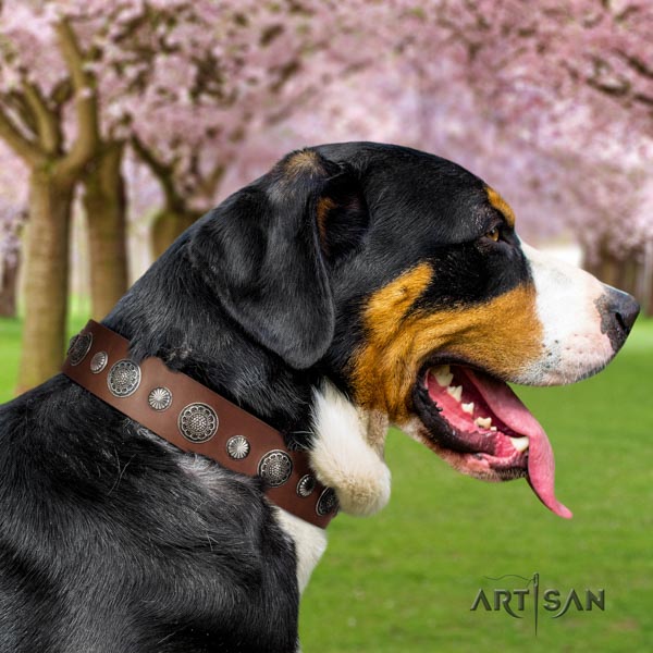 Swiss Mountain easy wearing genuine leather collar with adornments for your pet