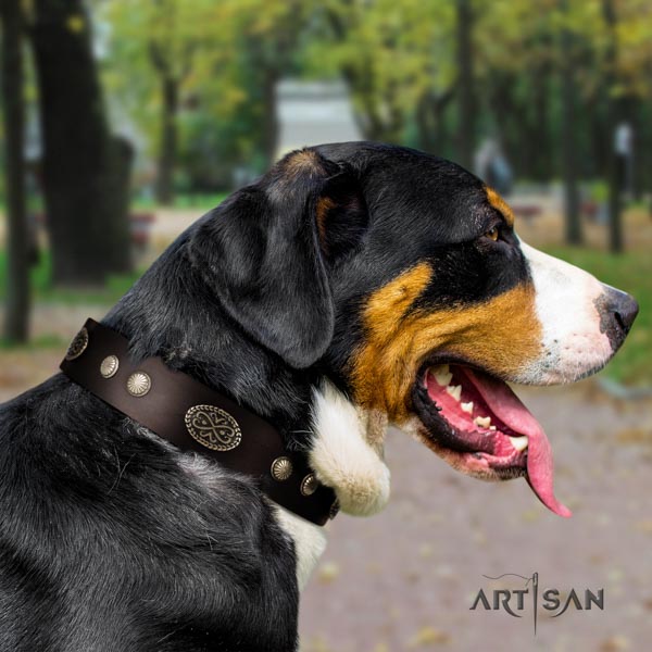 Swiss Mountain stylish walking full grain genuine leather collar with decorations for your pet