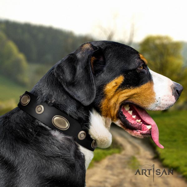 Swiss Mountain fancy walking full grain natural leather collar with adornments for your canine