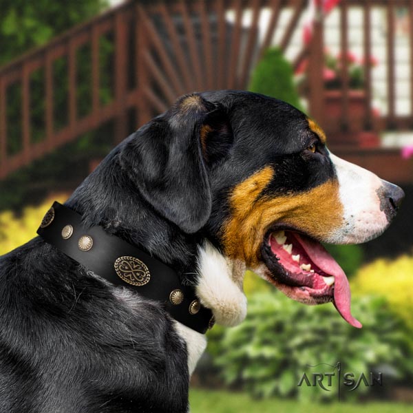 Swiss Mountain daily walking full grain natural leather collar with embellishments for your pet