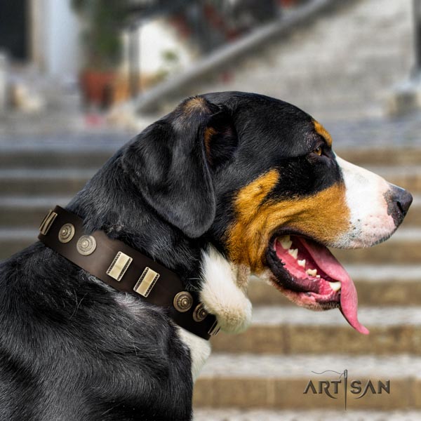 Swiss Mountain handy use natural leather collar with decorations for your four-legged friend