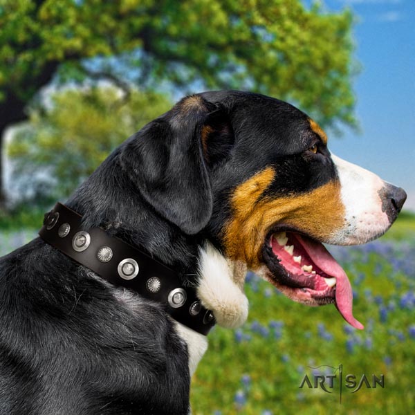 Swiss Mountain walking leather collar with adornments for your canine