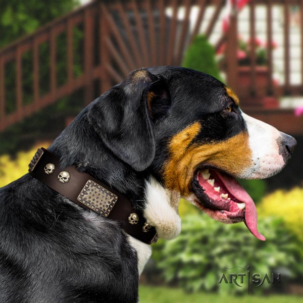 Swiss Mountain daily use full grain natural leather collar with adornments for your pet
