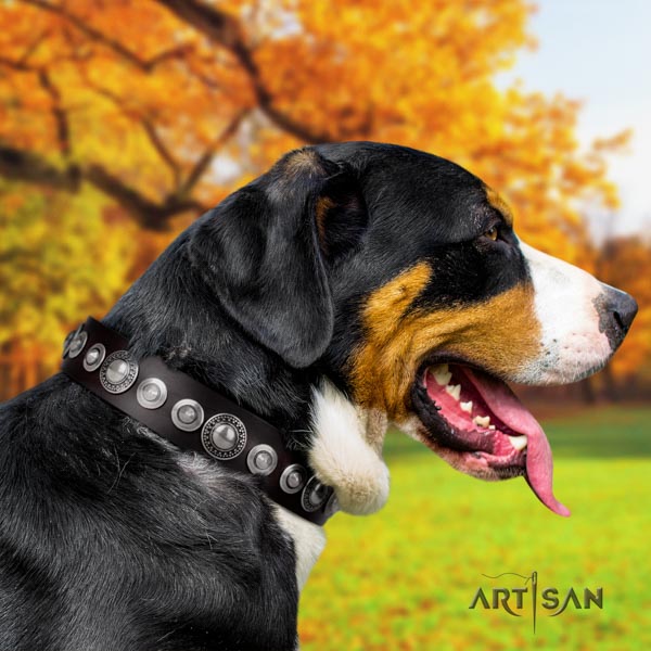 Swiss Mountain everyday use full grain genuine leather collar with decorations for your four-legged friend