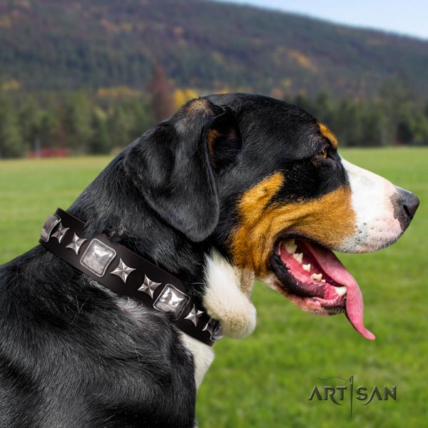 Swiss Mountain handy use genuine leather collar with studs for your dog