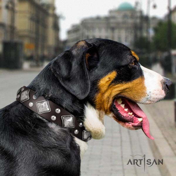Swiss Mountain basic training full grain genuine leather collar with adornments for your canine