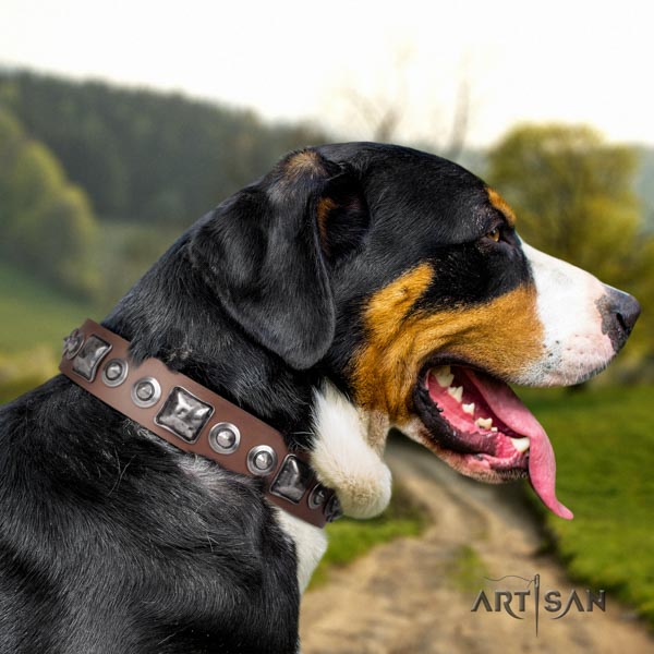 Swiss Mountain fancy walking genuine leather collar with decorations for your dog