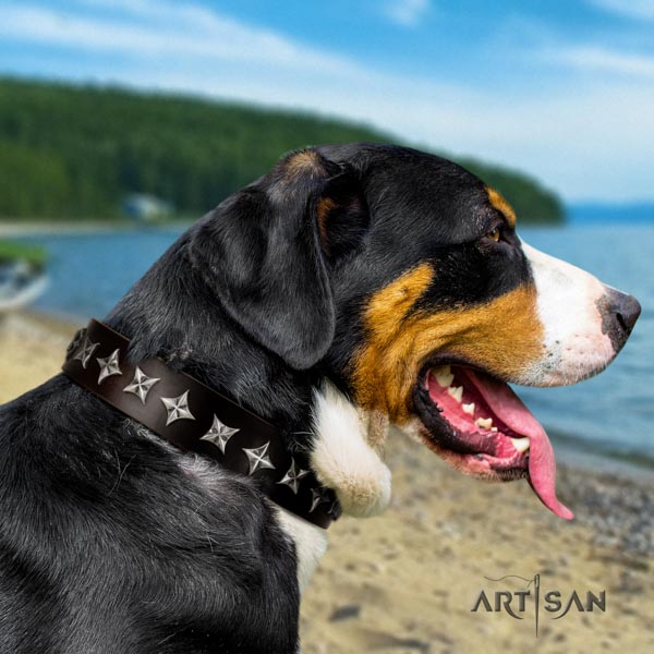 Swiss Mountain daily use natural leather collar with decorations for your canine
