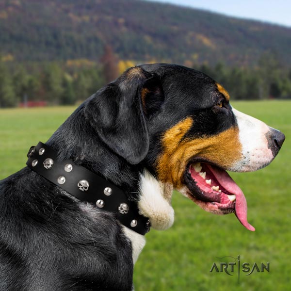 Swiss Mountain daily walking full grain genuine leather collar with decorations for your four-legged friend