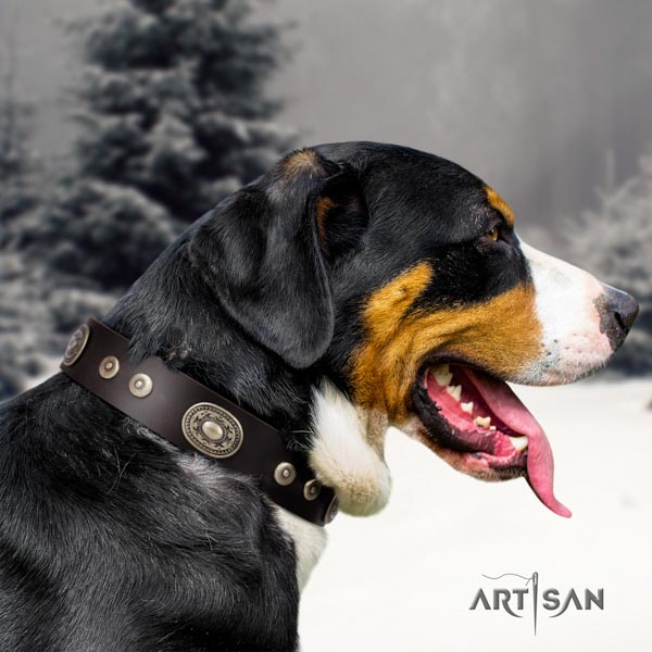 Swiss Mountain everyday use genuine leather collar with studs for your dog