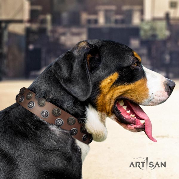 Swiss Mountain walking full grain natural leather collar with decorations for your doggie