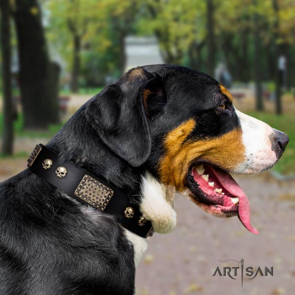 Swiss Mountain fancy walking genuine leather collar with decorations for your four-legged friend