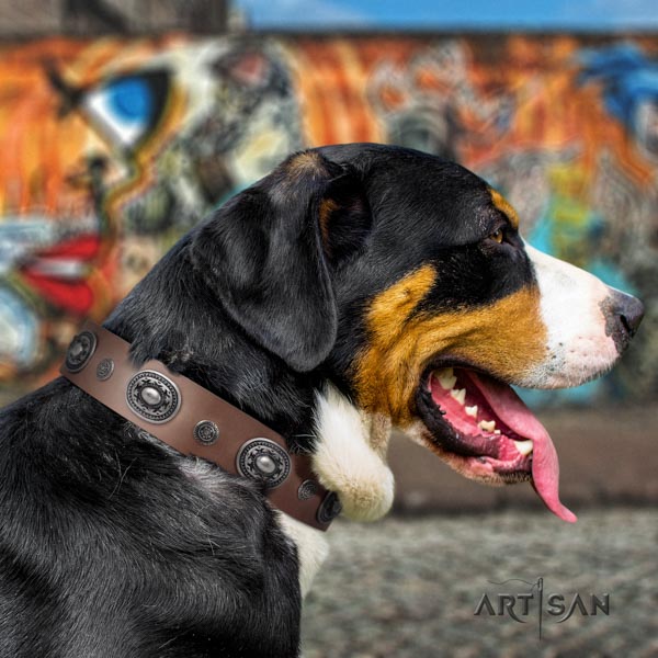 Swiss Mountain easy wearing natural leather collar with adornments for your doggie