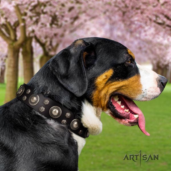 Swiss Mountain comfy wearing full grain leather collar with studs for your four-legged friend