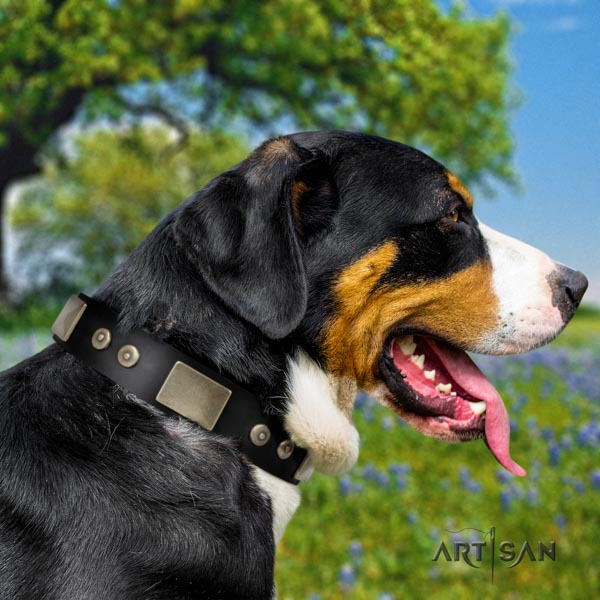 Swiss Mountain fancy walking leather collar with decorations for your dog