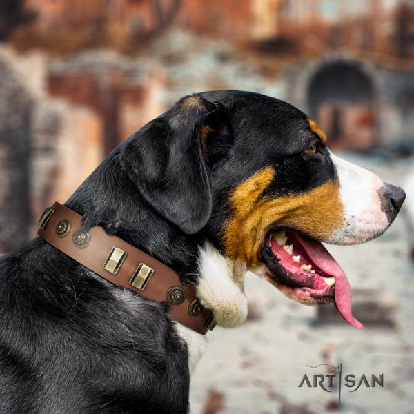 Swiss Mountain daily walking full grain genuine leather collar with studs for your canine