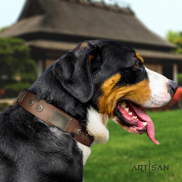 Swiss Mountain everyday use full grain genuine leather collar with studs for your four-legged friend