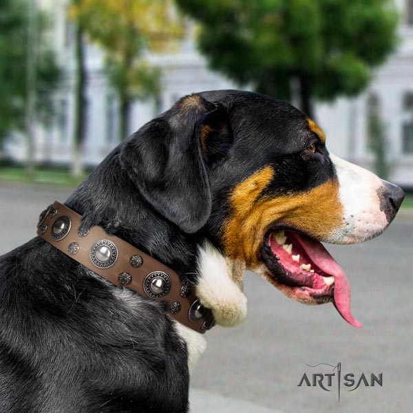 Swiss Mountain walking full grain genuine leather collar with embellishments for your four-legged friend