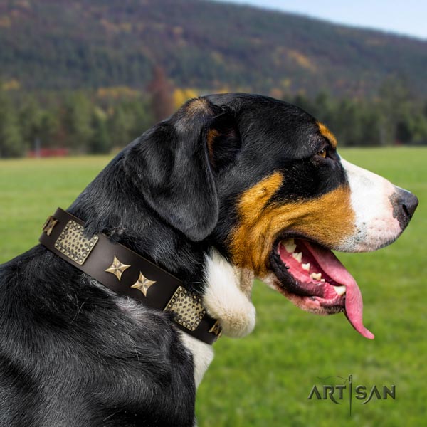 Swiss Mountain everyday use leather collar with studs for your canine