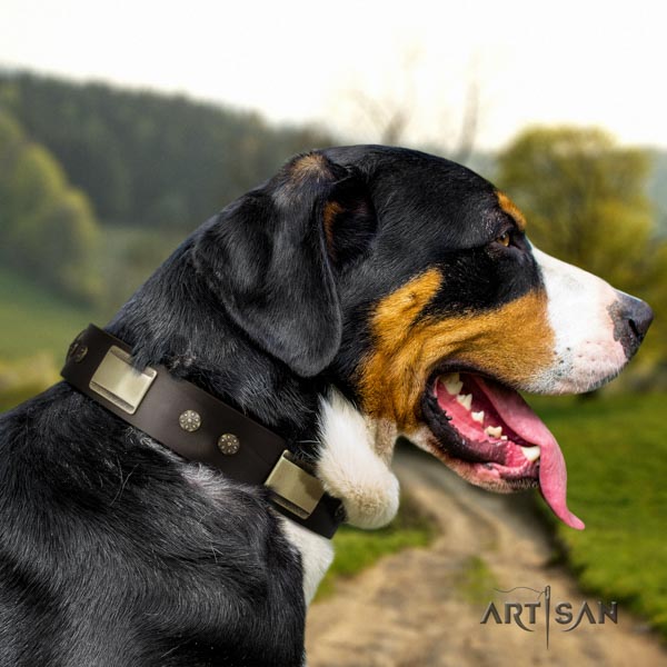 Swiss Mountain daily use natural leather collar with adornments for your pet