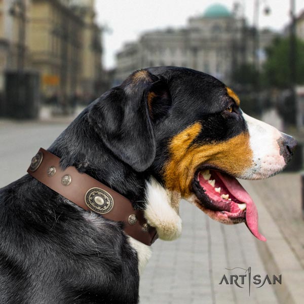 Swiss Mountain comfortable wearing full grain leather collar with embellishments for your pet