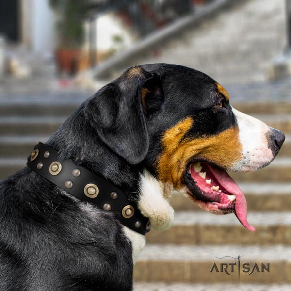 Swiss Mountain everyday walking full grain leather collar with embellishments for your dog