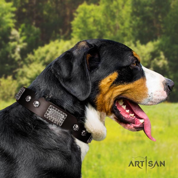 Swiss Mountain everyday use natural leather collar with studs for your four-legged friend