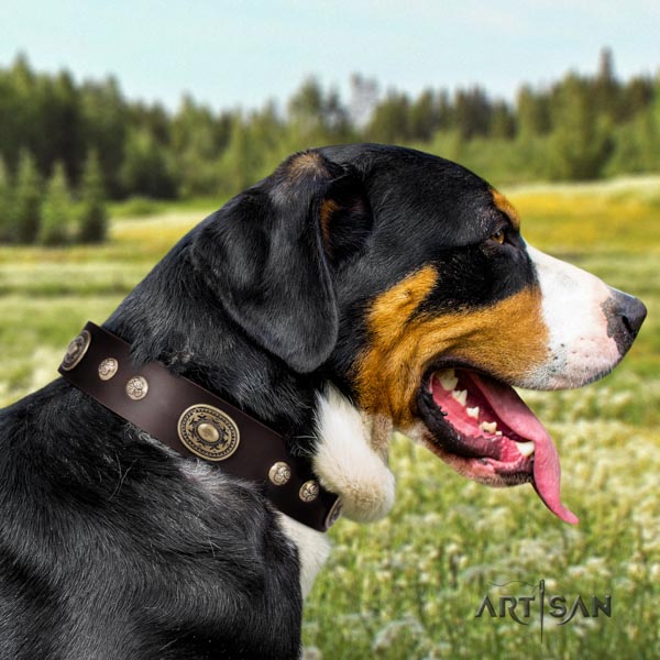 Swiss Mountain comfortable wearing full grain natural leather collar with embellishments for your pet