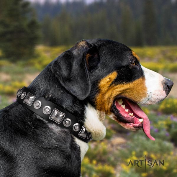 Swiss Mountain daily use leather collar with studs for your doggie
