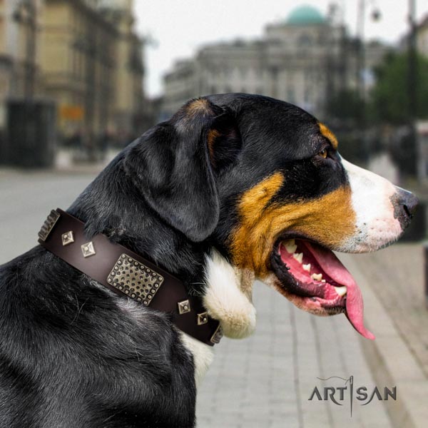 Swiss Mountain comfortable wearing full grain genuine leather collar with adornments for your doggie