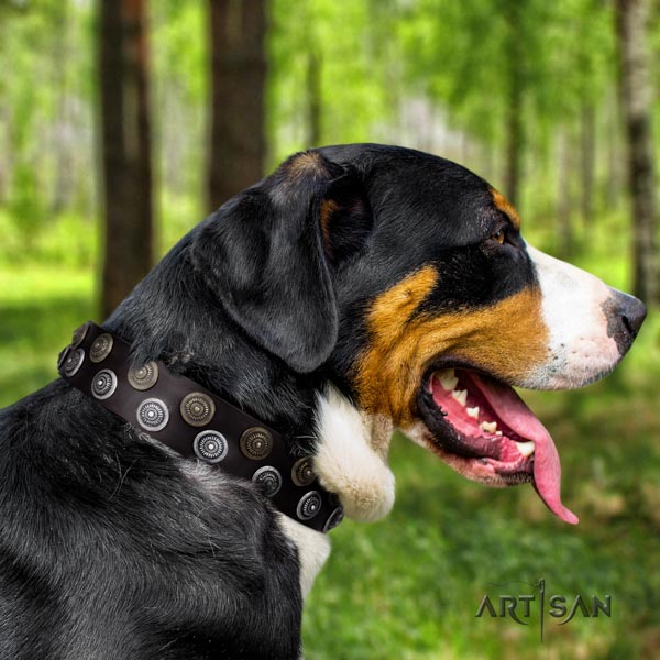 Swiss Mountain daily walking full grain natural leather collar with embellishments for your doggie