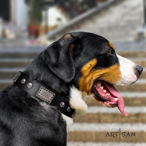 Swiss Mountain stylish walking leather collar with studs for your dog