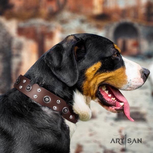 Swiss Mountain walking natural leather collar with adornments for your dog