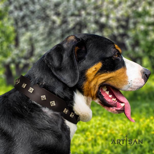 Swiss Mountain walking genuine leather collar with adornments for your doggie