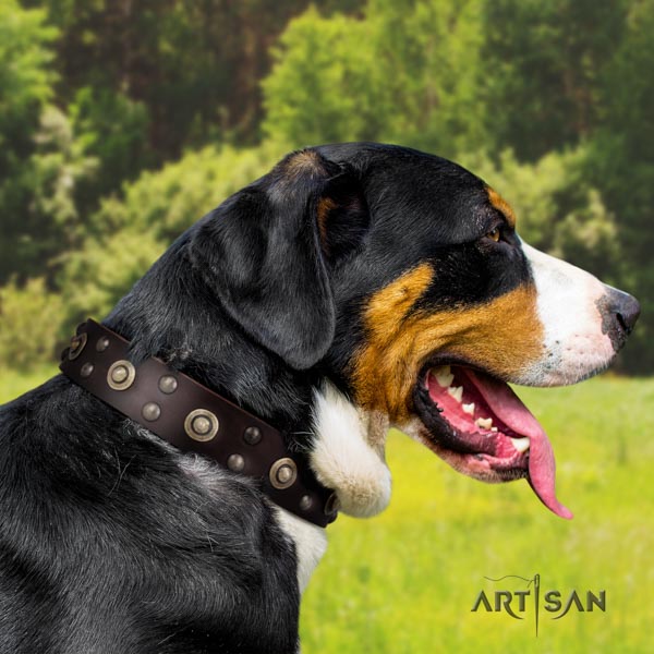Swiss Mountain walking natural leather collar with embellishments for your dog