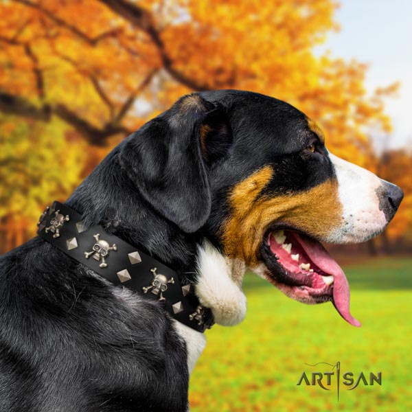 Swiss Mountain everyday walking genuine leather collar with studs for your doggie