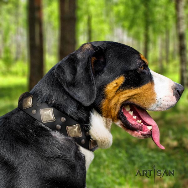 Swiss Mountain stylish walking full grain natural leather collar with decorations for your four-legged friend