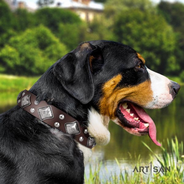 Swiss Mountain everyday walking full grain genuine leather collar with studs for your pet