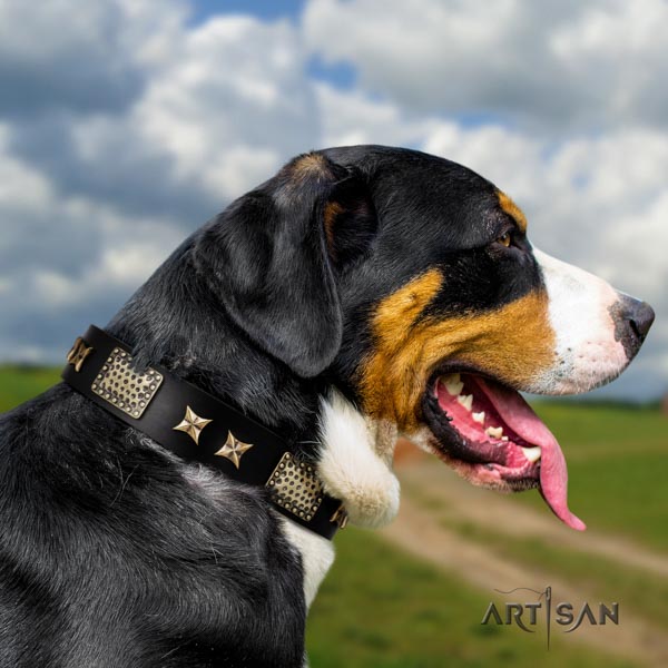 Swiss Mountain everyday use full grain natural leather collar with decorations for your dog