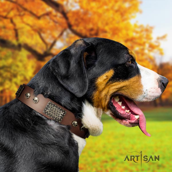 Swiss Mountain handy use full grain genuine leather collar with embellishments for your doggie