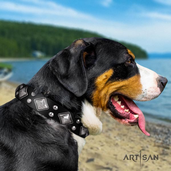 Swiss Mountain everyday walking genuine leather collar with embellishments for your pet