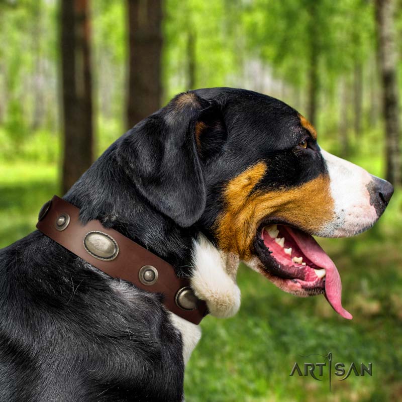 Swiss Mountain comfortable wearing full grain genuine leather collar with studs for your four-legged friend