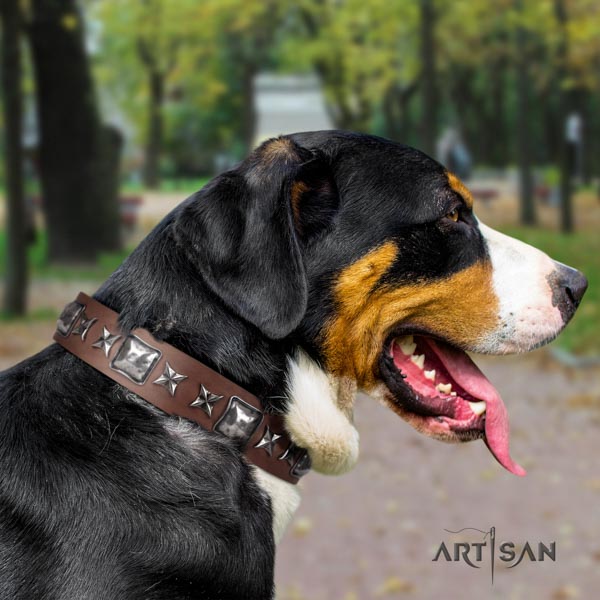 Swiss Mountain everyday use full grain leather collar with embellishments for your doggie