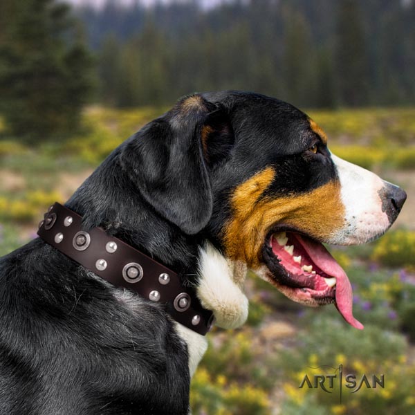 Swiss Mountain comfortable wearing genuine leather collar with decorations for your doggie