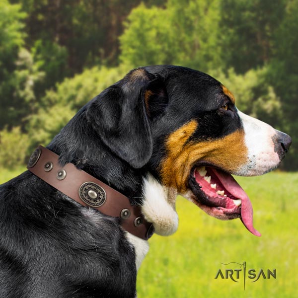 Swiss Mountain basic training genuine leather collar with embellishments for your four-legged friend