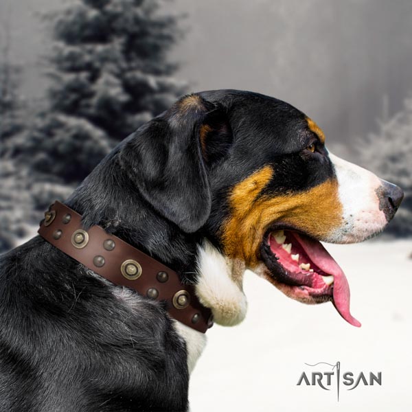 Swiss Mountain easy wearing natural leather collar with decorations for your pet